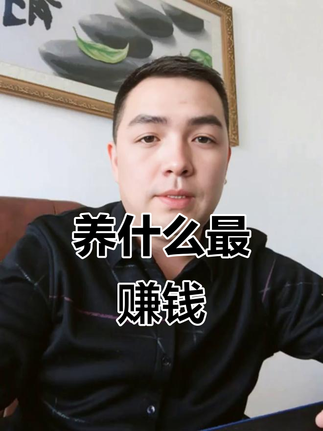 返乡创业养鸡赚钱,豆鸡和斗鸡品种选对了吗?