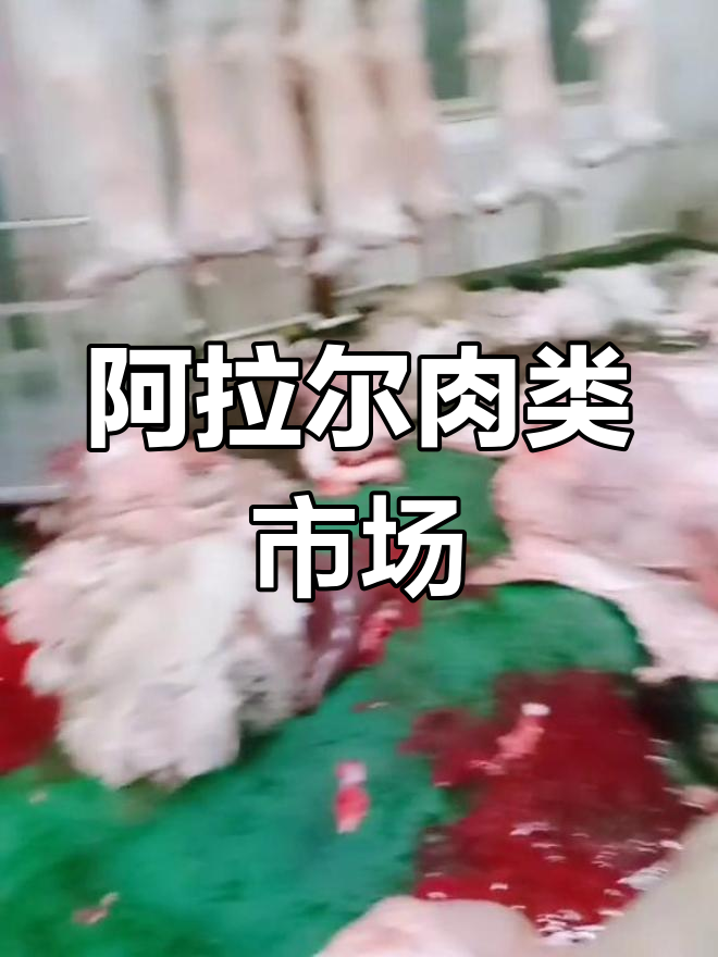 阿拉尔屠宰场牛羊肉供应