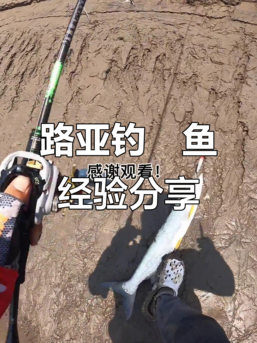 路亚鳡鱼实战技巧大揭秘,如何避免脱钩跑鱼