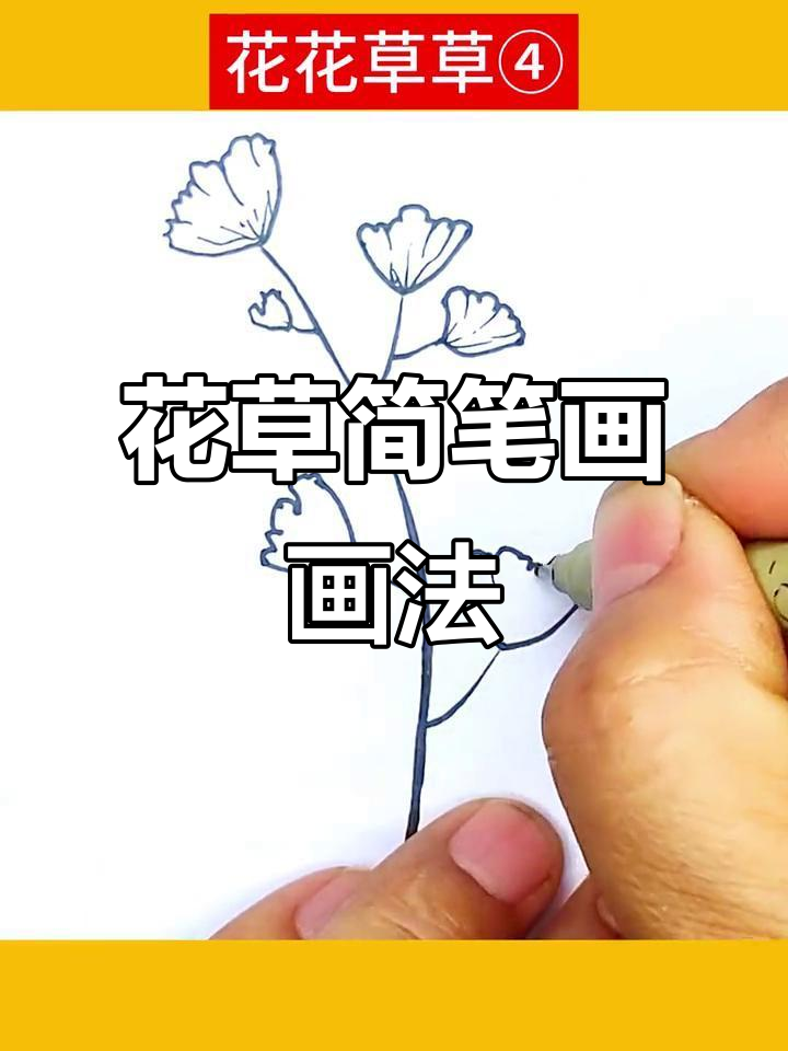 儿童花草简笔画,轻松学会画可爱植物