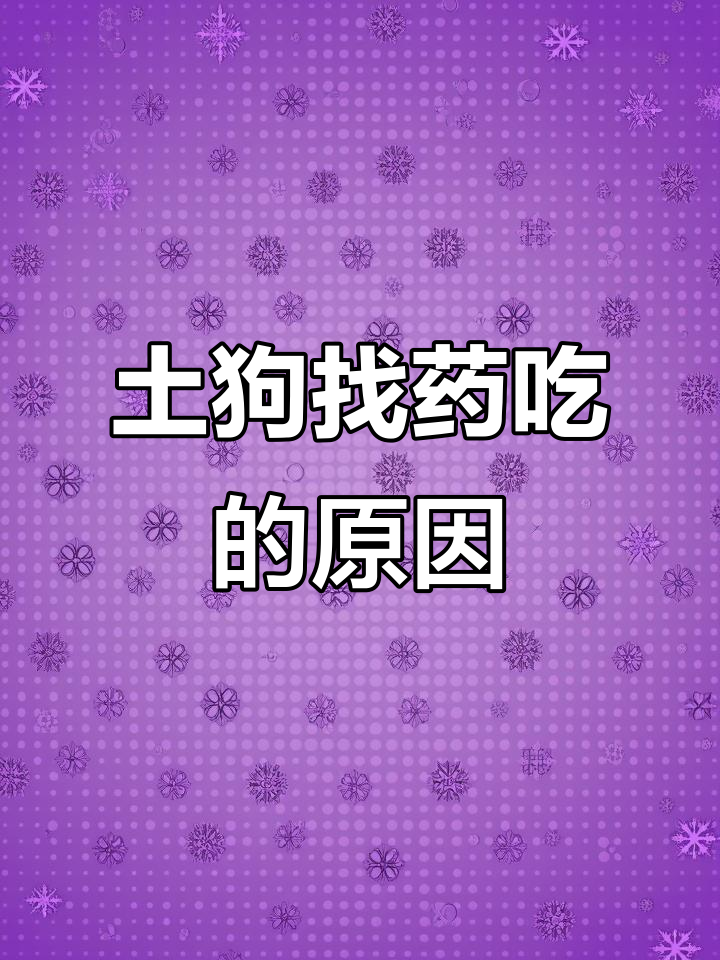 5月30日揭秘:土狗为何能自寻草药?神奇能力解析
