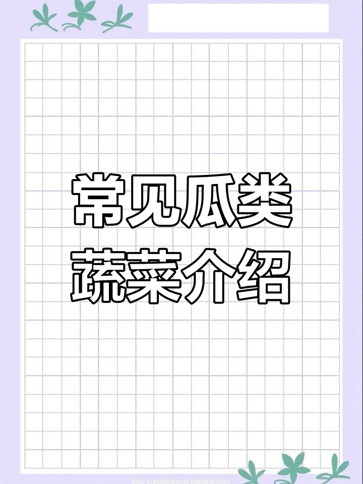 瓜类蔬菜的营养与制作方法全解析