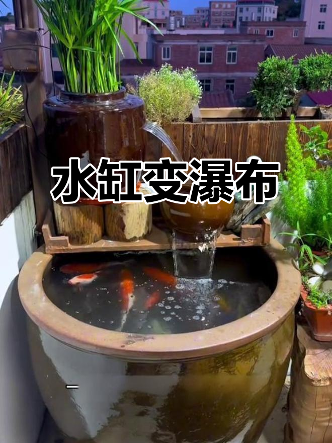 老水缸养鱼，简单又美观，瀑布效果超赞！
