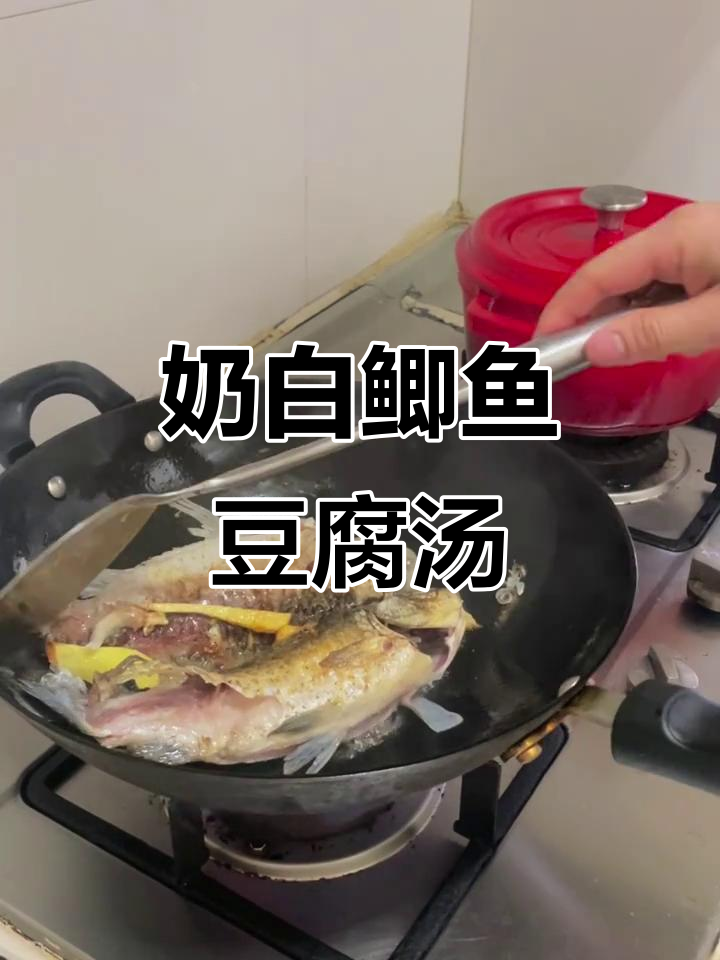 番茄鲫鱼豆腐汤,鲜美又美容,春天喝最合适