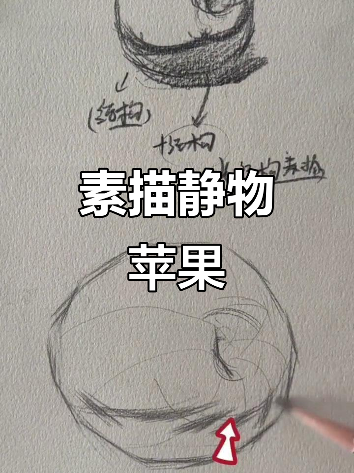 素描苹果结构解析:如何画出体积与细节