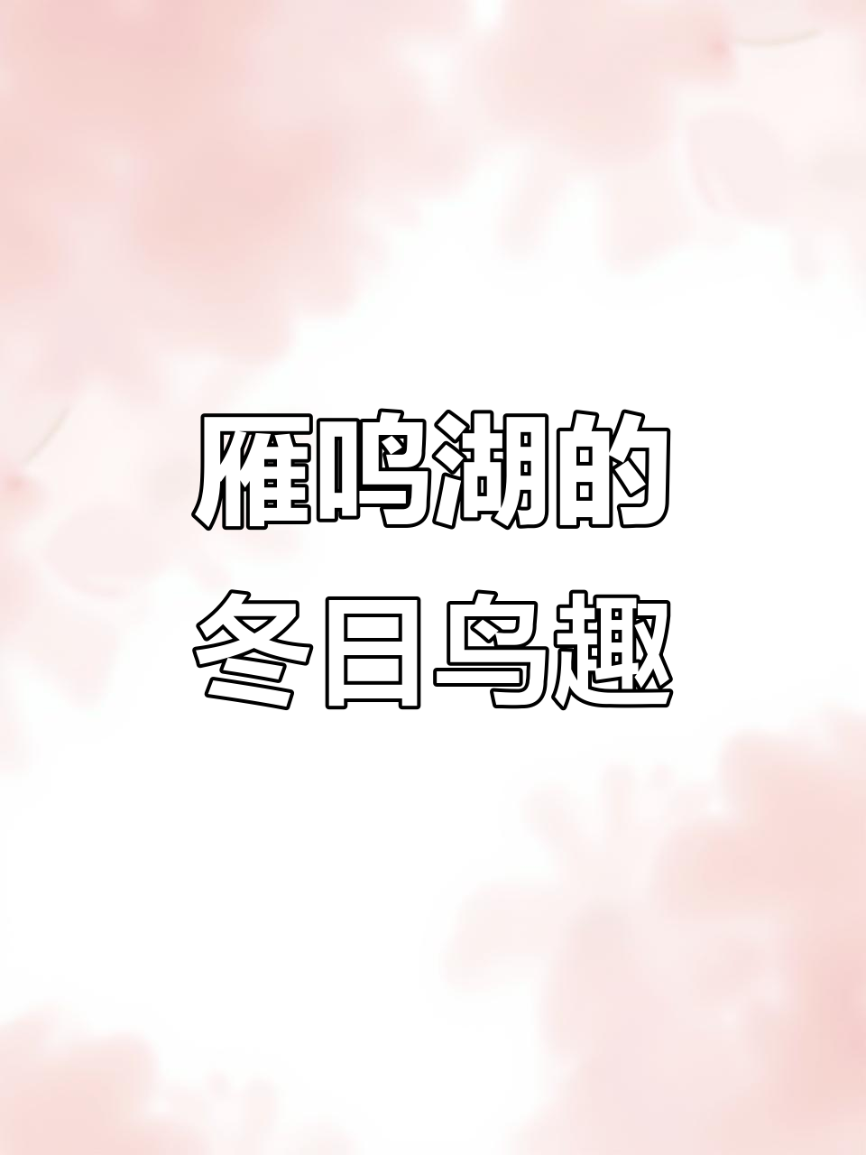 西安浐河雁鸣湖:冬季鸟类天堂,野鸭成群结队