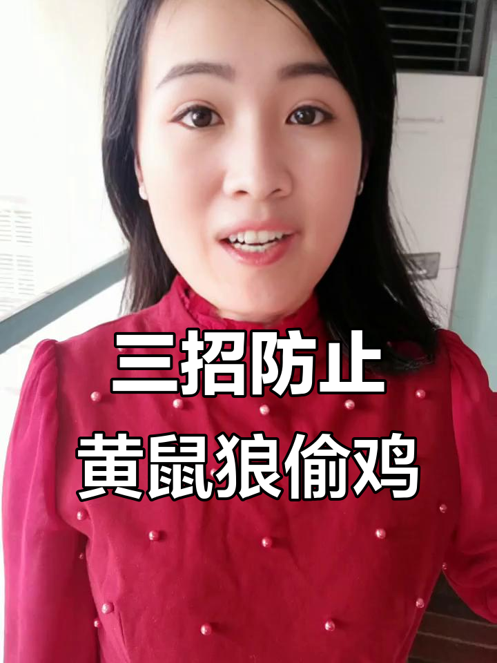 散养鸡防黄鼠狼,三招搞定!鹅狗双管齐下