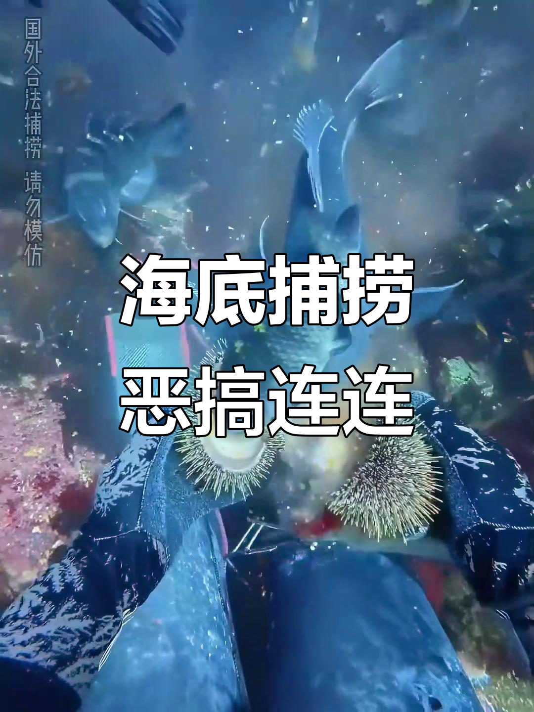 赶海大作战:邪恶闪现虾与剥皮鱼的惊险追逐