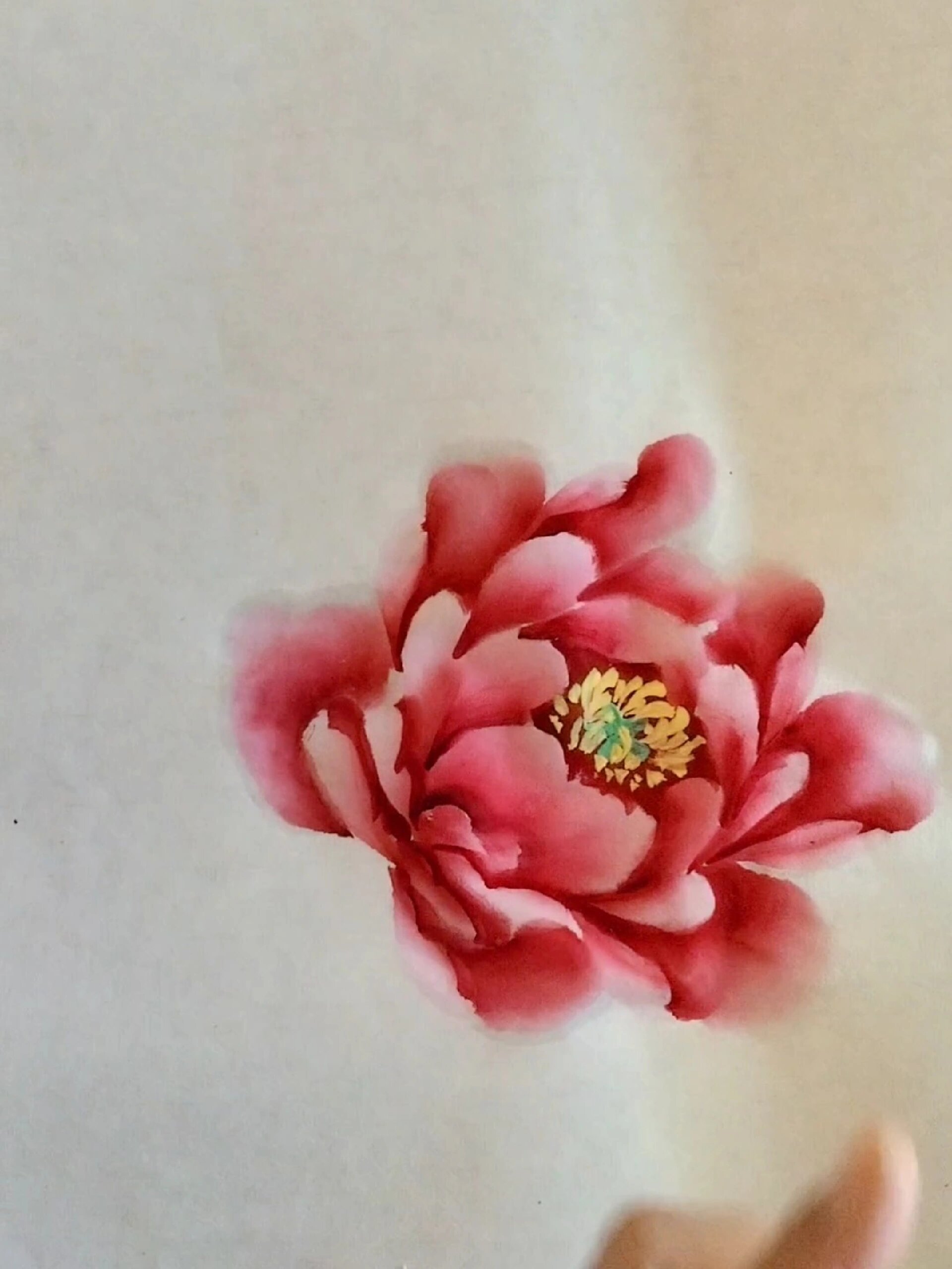 国画牡丹花教学视频
