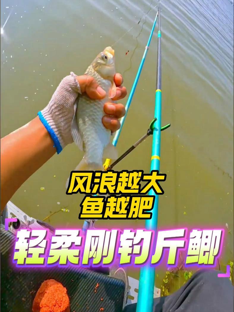 轻柔刚 风浪越大 鱼越肥 轻柔刚钓斤鲫鱼 轻柔刚 钓鱼的乐趣只有钓鱼人懂 钓鱼人就是这么疯