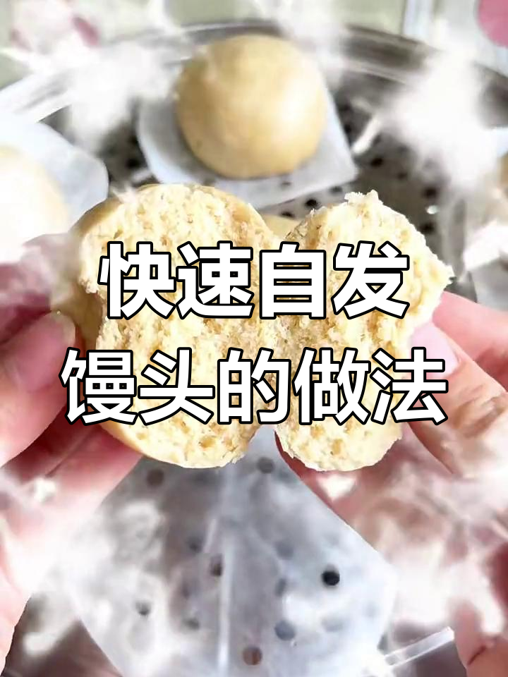 自发粉轻松做馒头,零酵母更简单