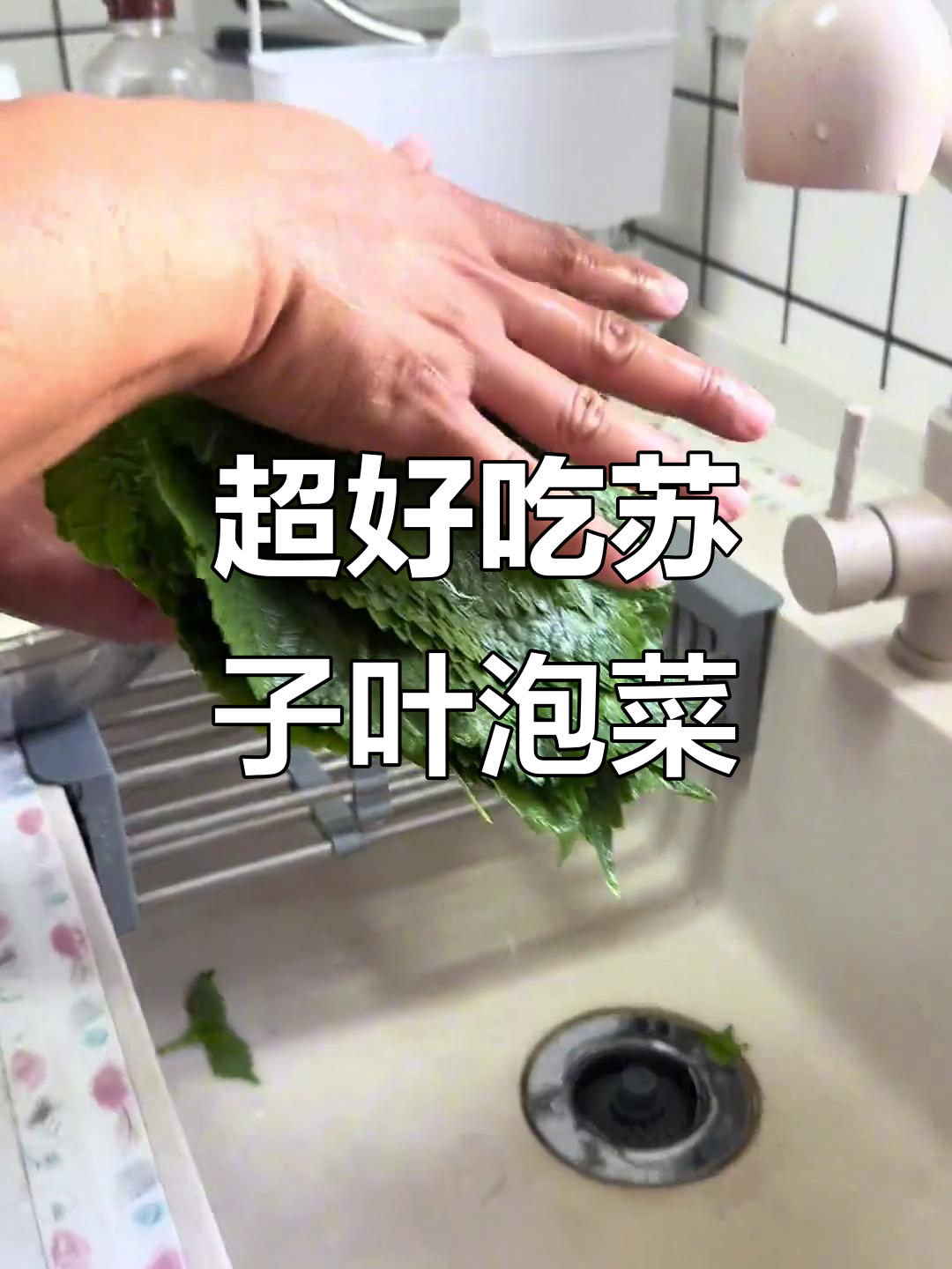 朝鲜族经典苏子叶泡菜,简单又美味!