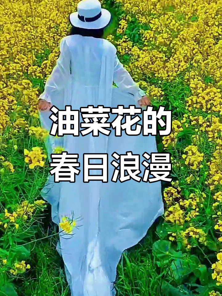 春天里的油菜花浪漫,背影中的美丽瞬间