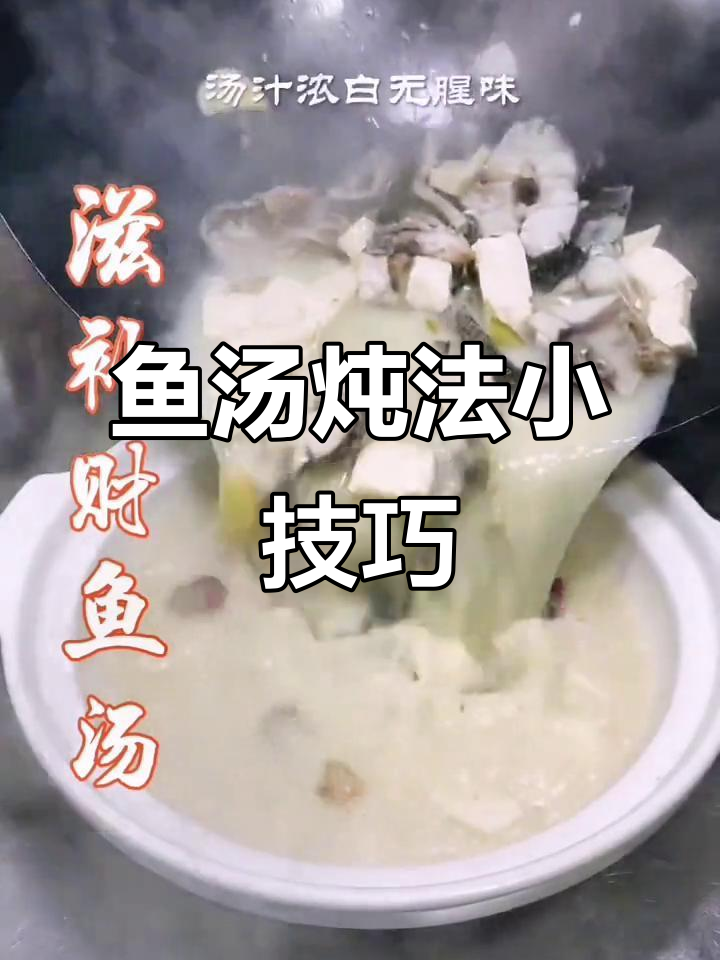 炖汤秘诀:如何让鱼汤浓白无腥味,搭配豆腐更鲜美