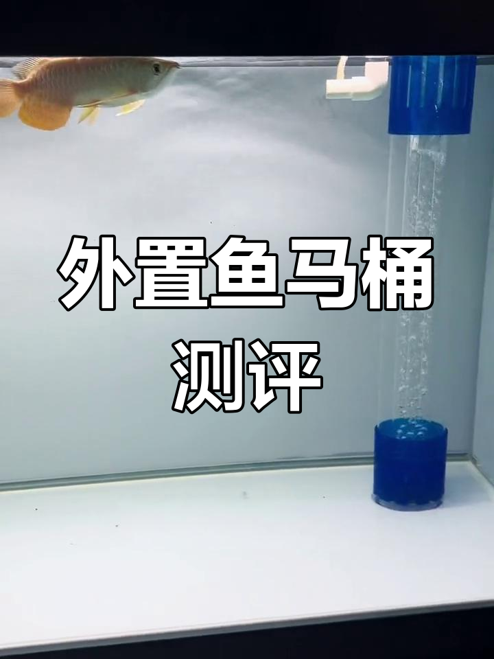 鱼马桶使用体验:棉目分离效果如何?