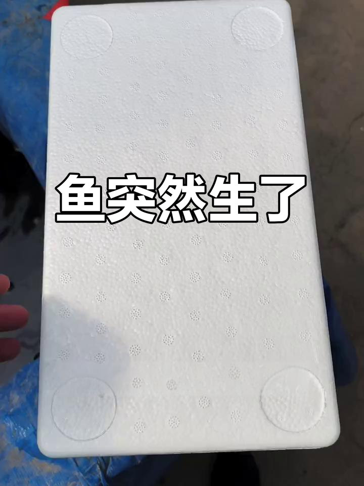 鱼提前生,怎么办?