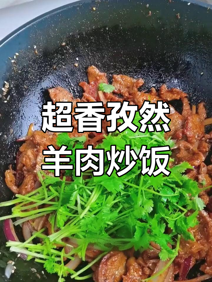 孜然羊肉炒饭,家常下饭菜轻松做