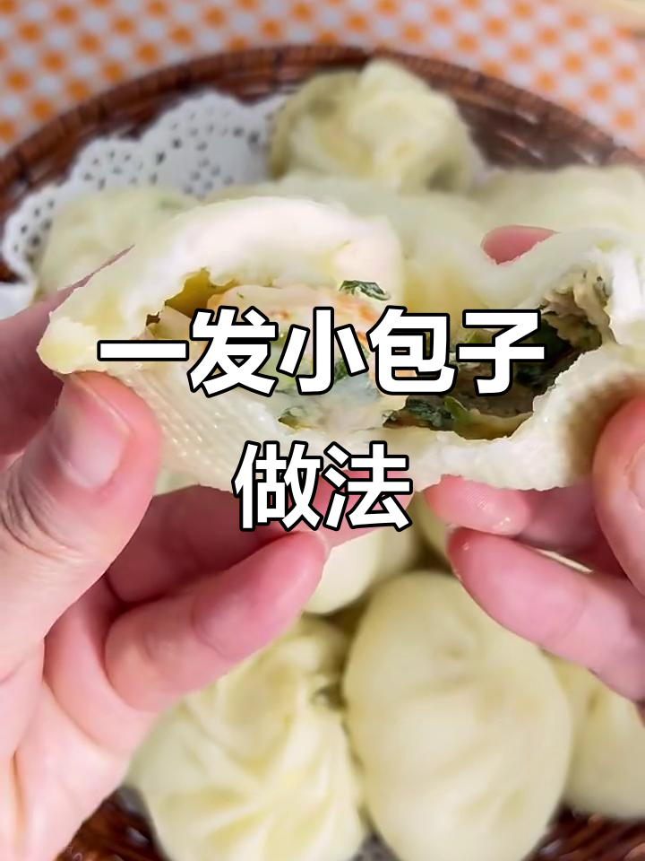 韭菜虾仁肉包子,一次发酵轻松做