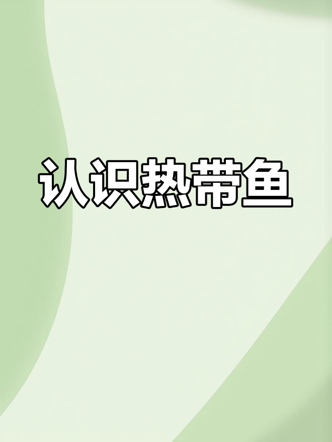 热带鱼种类大揭秘,平安夜一起探索