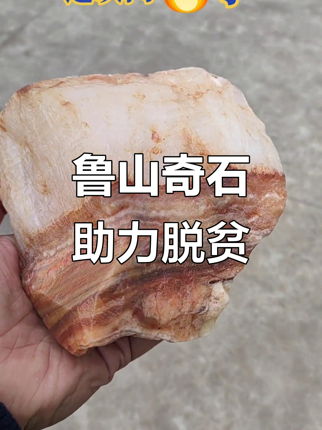鲁山肉形石:农民捡石头致富新路