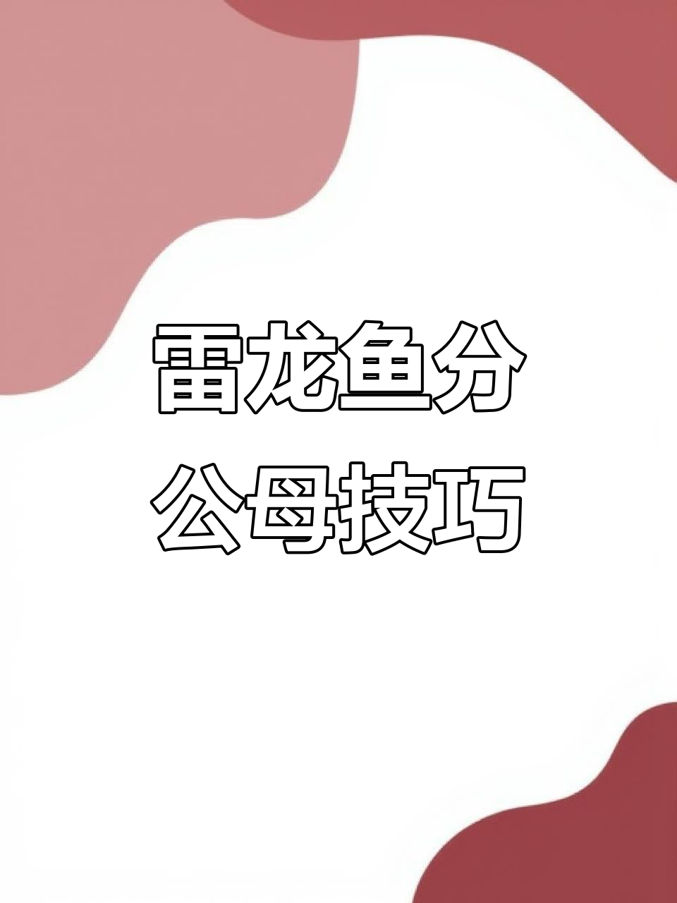 如何分辨雷龙鱼的公母?