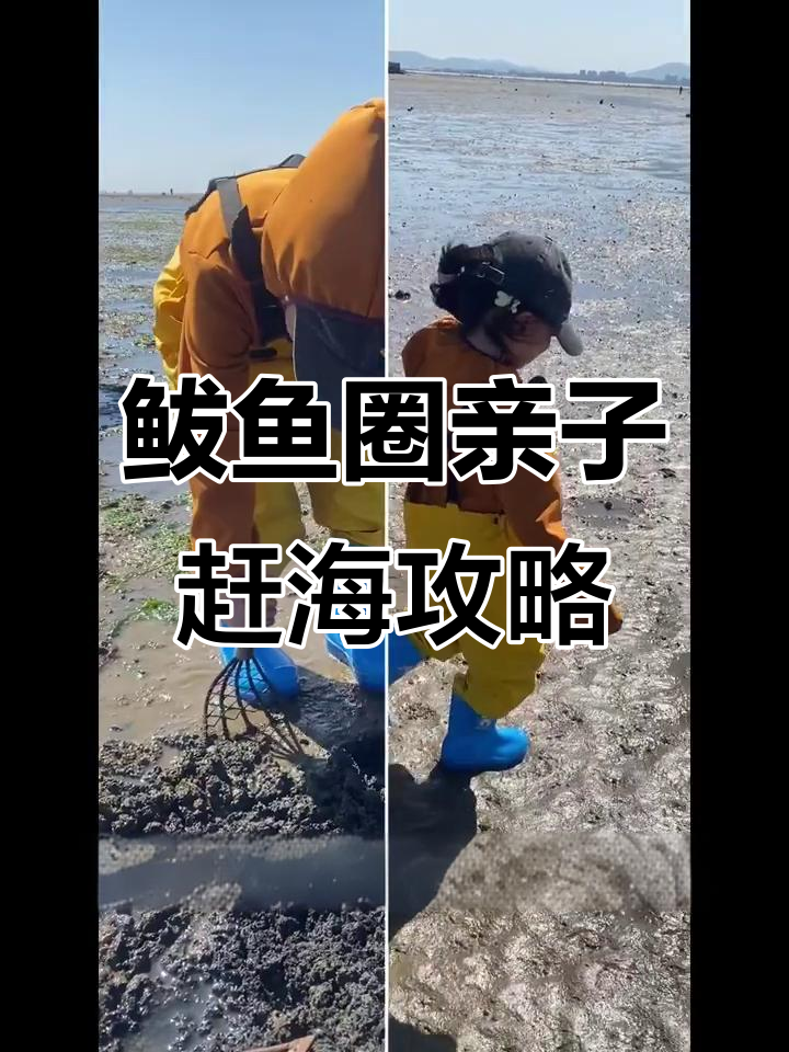 鲅鱼圈赶海亲子游,白沙湾与黄金海岸的完美搭配