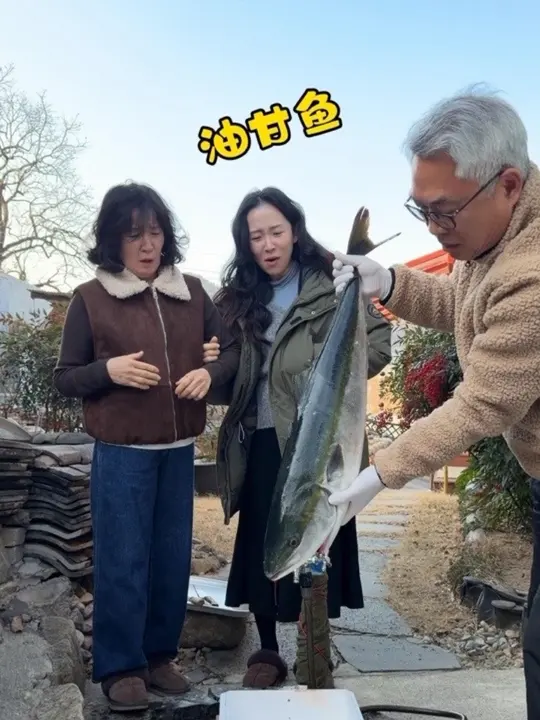 每年到了吃油甘鱼刺身的季节，老丈人都会给我们买最好的