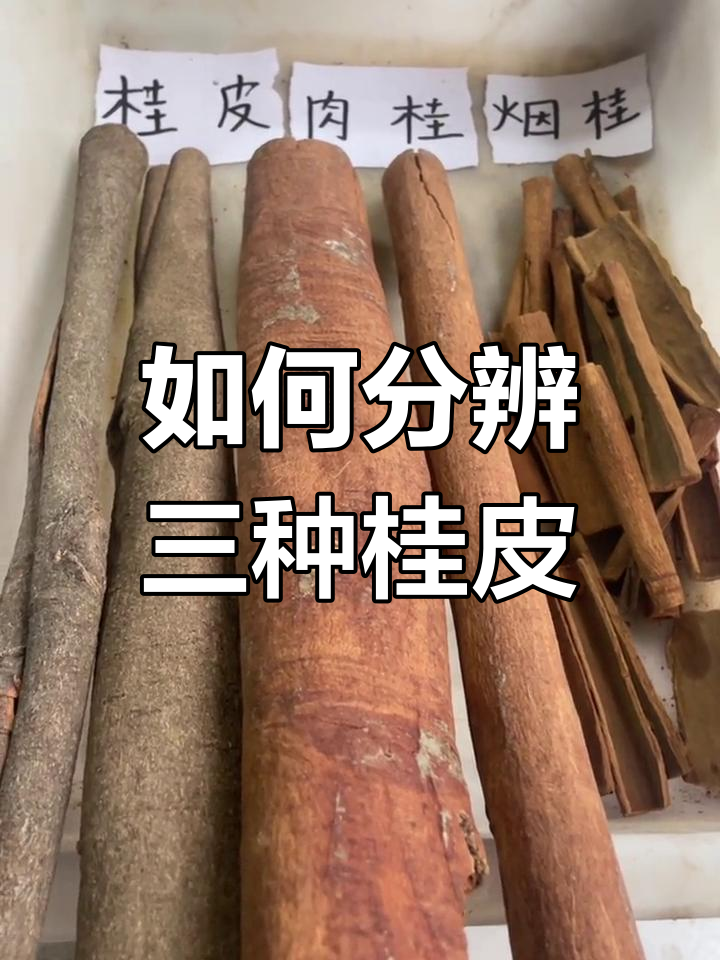 桂皮、肉桂与烟柜的区别与应用
