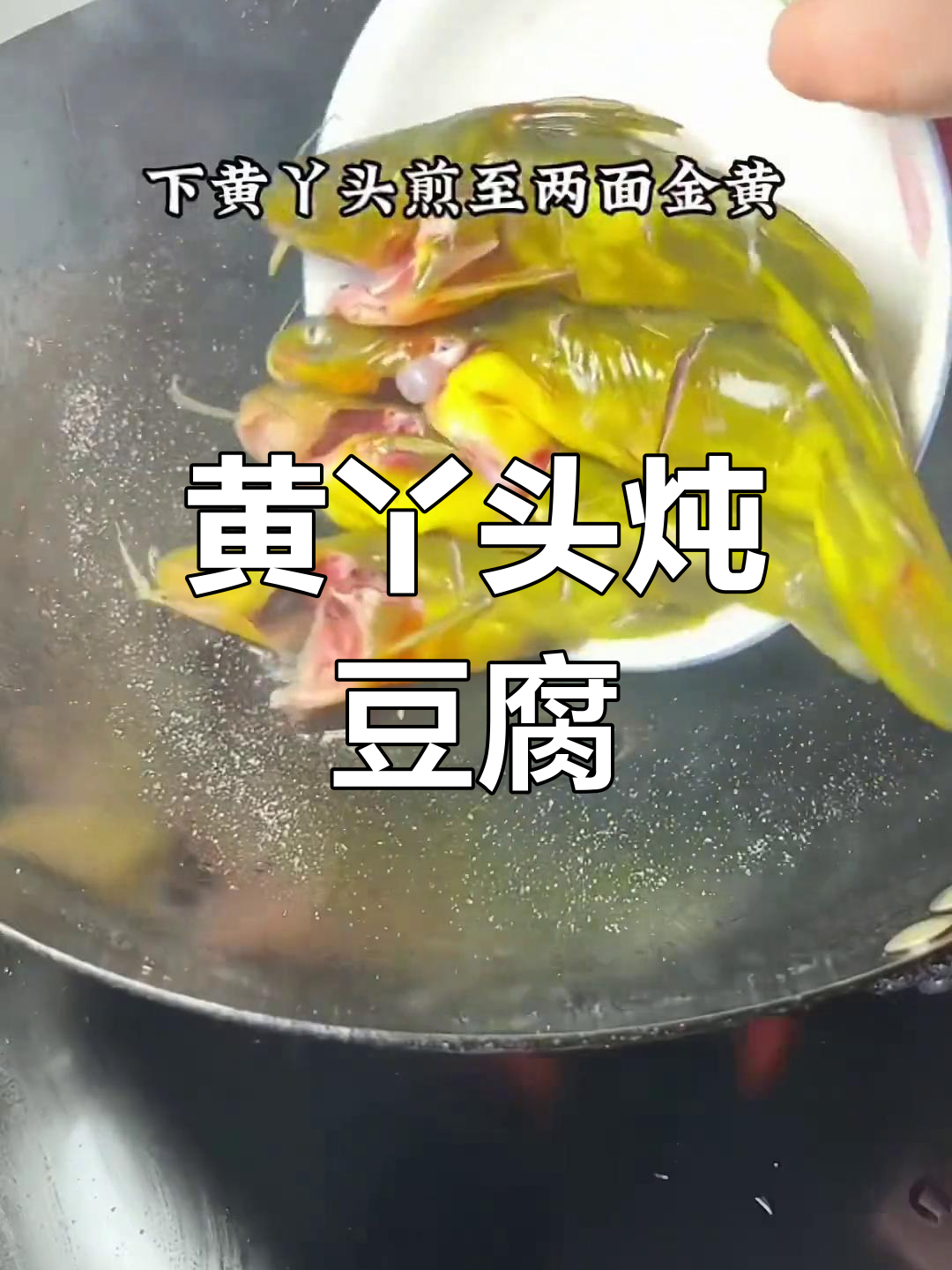 黄丫头炖豆腐,老公说比饭店好吃!试试这个家常做法吧