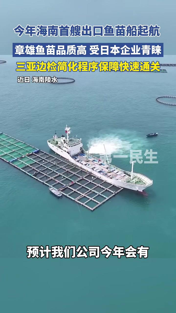 2025年海南首艘出口鱼苗船正式起航,三亚边检简化程序保障快速通关(来源:三亚第一民生)
