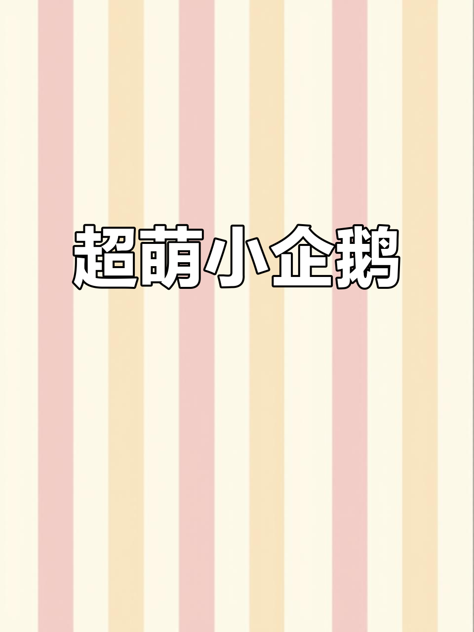 谁能抗拒企鹅的魅力?Pingu Pingu太可爱了!