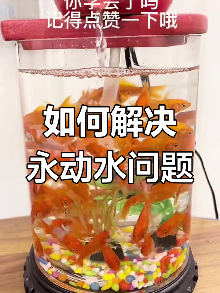 鱼缸循环流水简易安装教程