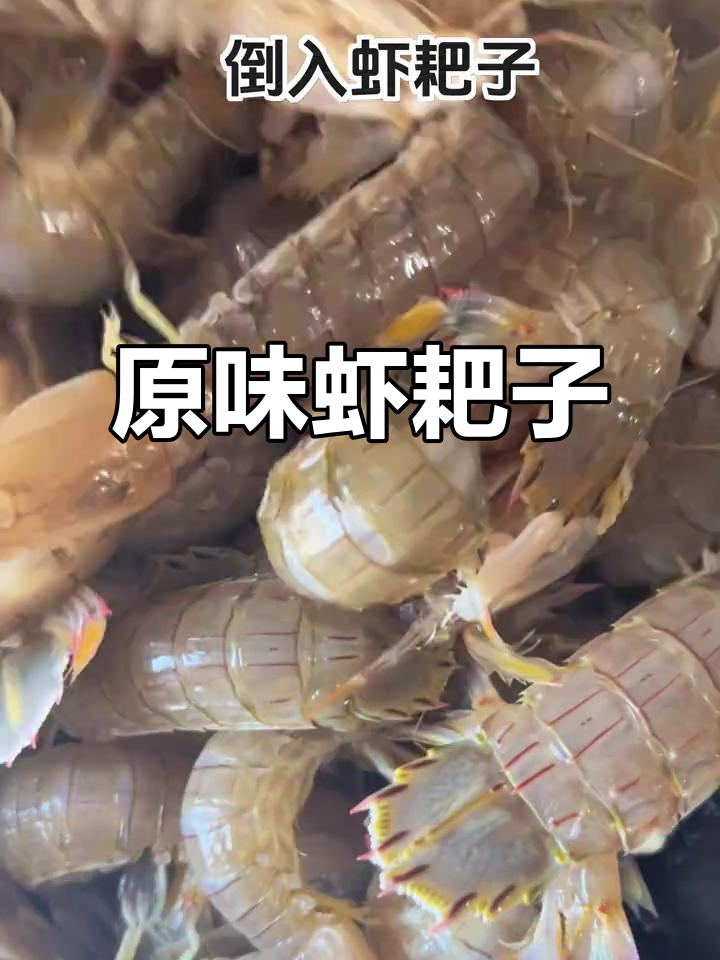 虾耙子最简单煮法,原汁鲜美,海边人最爱!