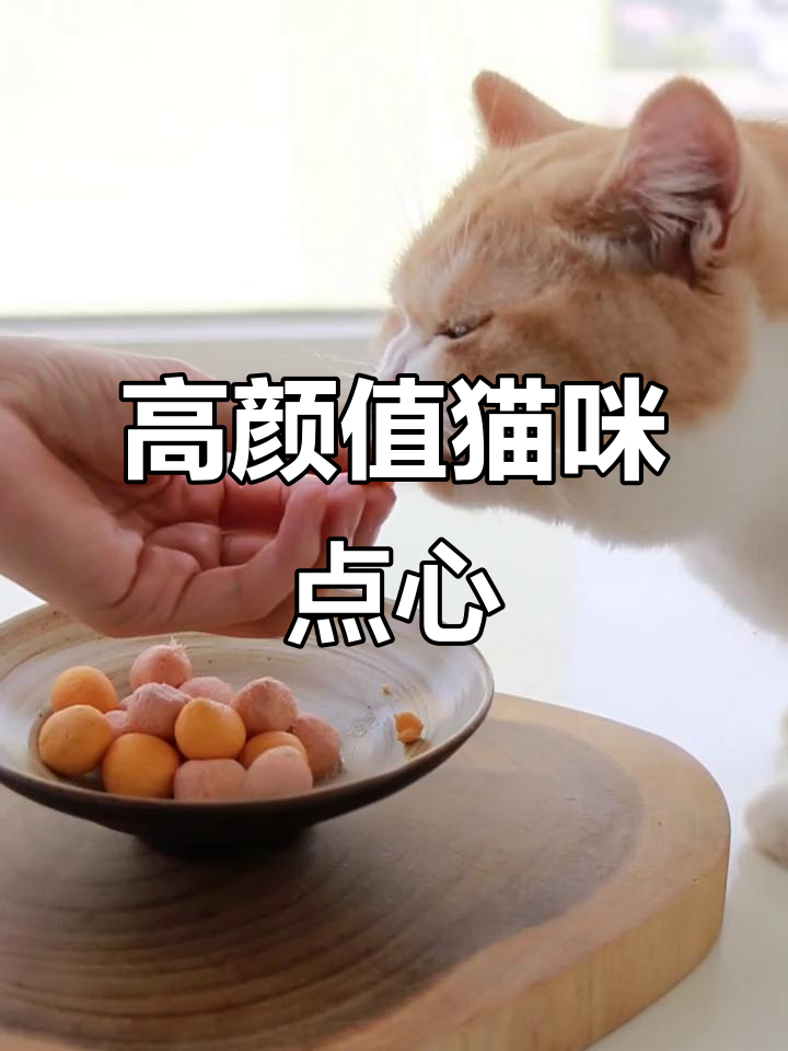 简单又营养的猫饭,三文鱼蛋黄球轻松做