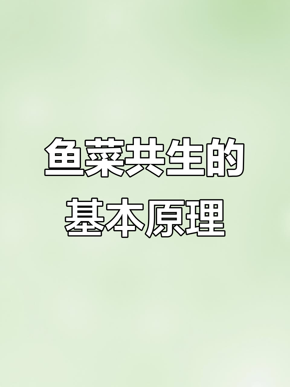 鱼菜共生系统设计图解:从污水到干净水的循环过程