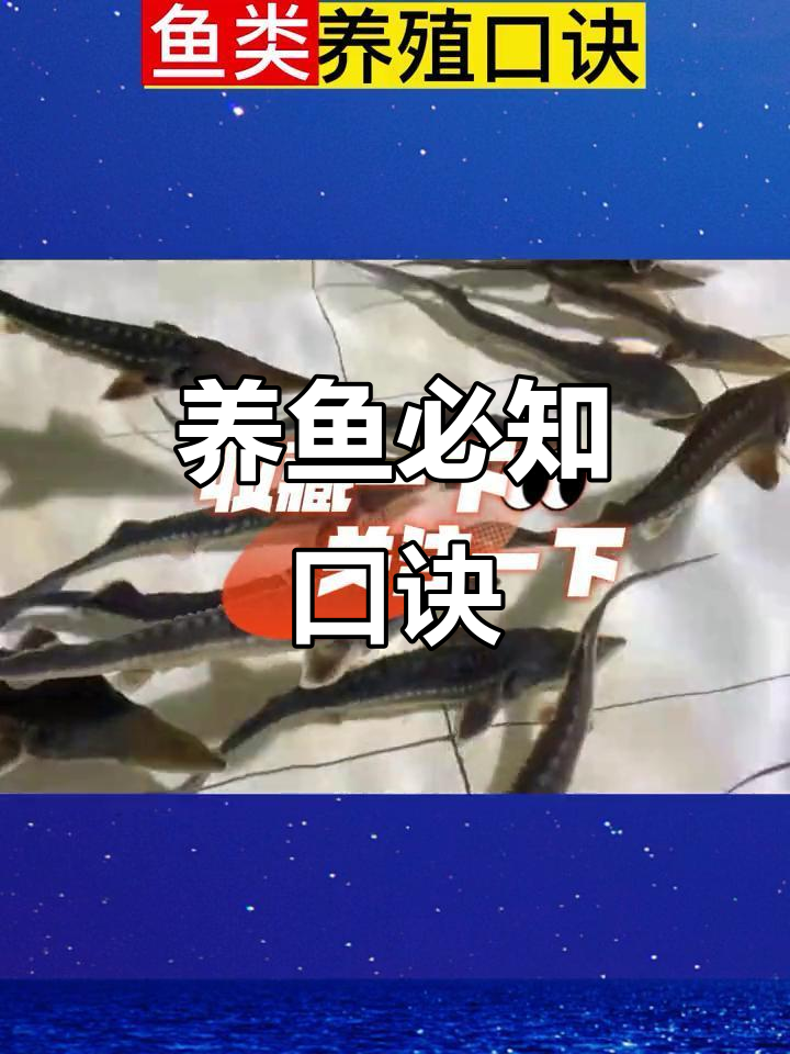 养殖口诀大揭秘:草鱼、鲤鱼、鲫鱼的生存环境与高产秘诀