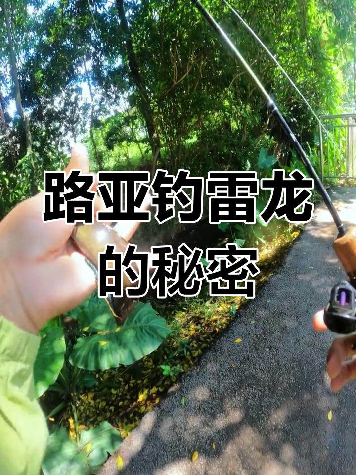 臭水沟里钓雷龙,简单操作让你轻松上手