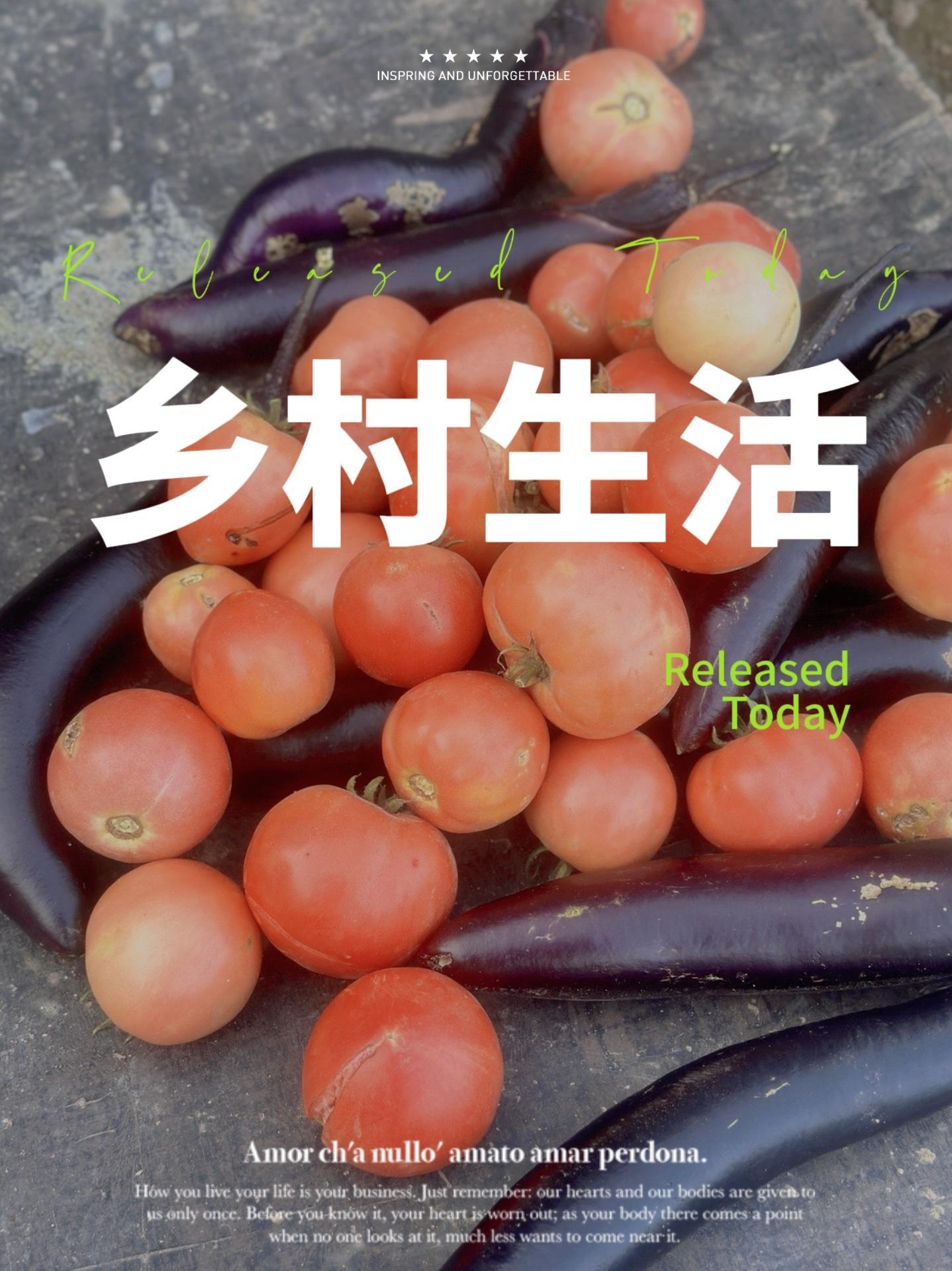 收获一只怪异的鹅蛋,和一大堆无的天然蔬菜老妈的菜园大丰收了～捡鸡蛋 我的农场生活 原生态乡