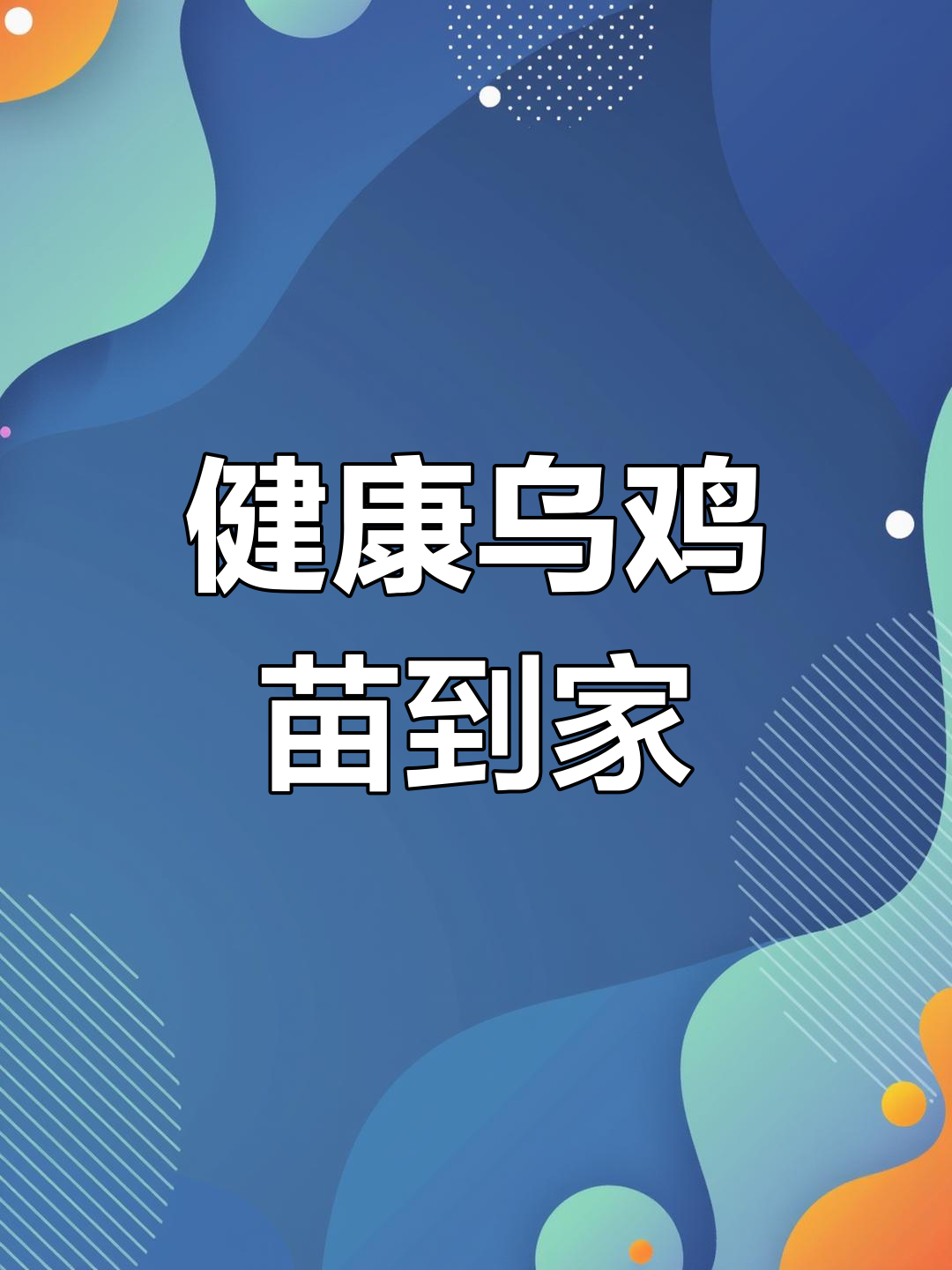 买的100只乌鸡苗全健康,无损送到家,超满意!