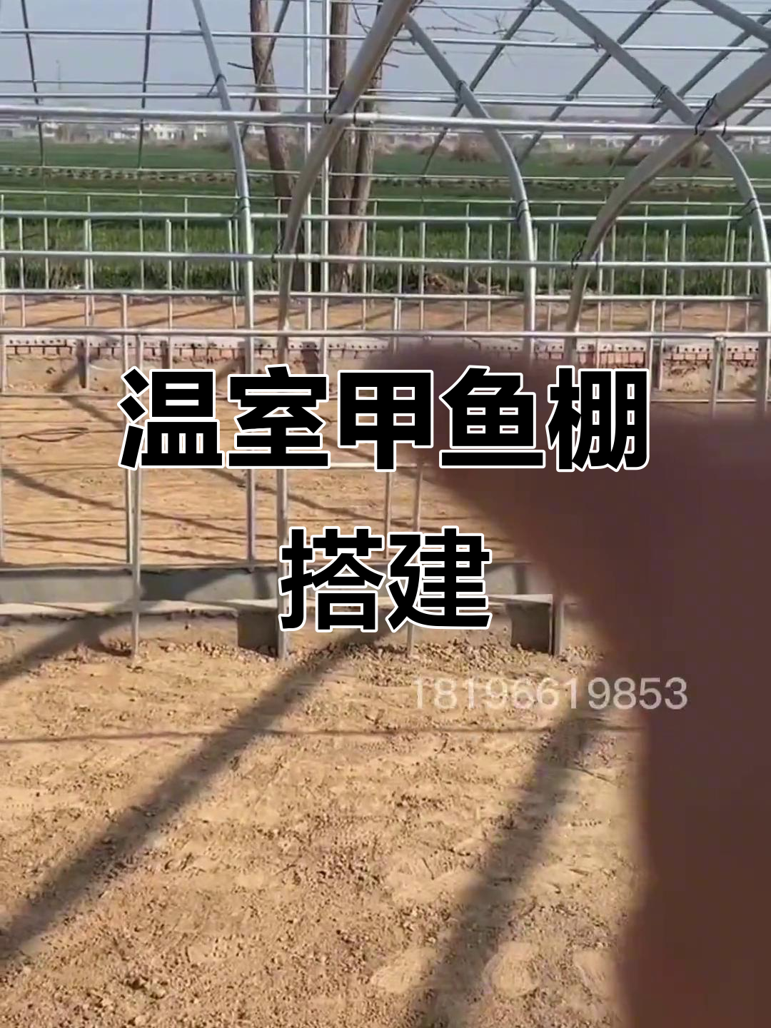 甲鱼棚建造全流程,从框架到内饰一步到位