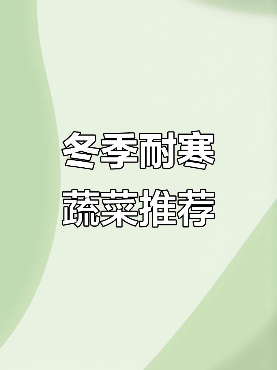 11月耐寒蔬菜种植指南,菠菜香菜都能过冬