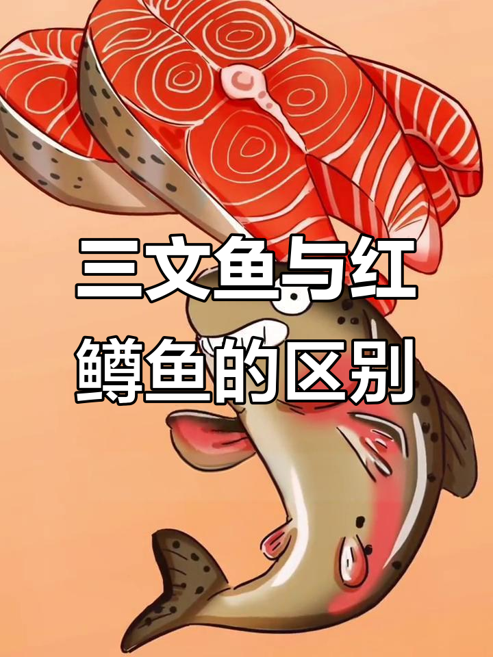 红鳟鱼和三文鱼的真相:你了解它们吗?