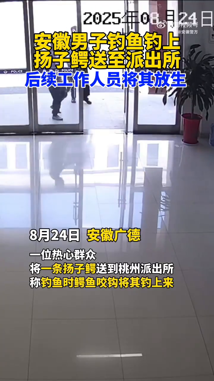 安徽热心群众钓鱼钓到扬子鳄，送至派出所，后续将其放生