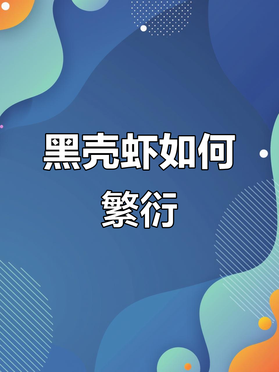 黑壳虾繁殖揭秘:从交配到幼虾蜕变全过程