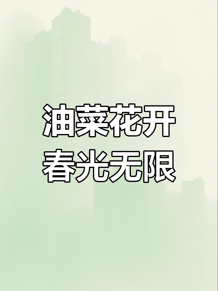 汉中洋县油菜花海,2025年免费赏花正当时