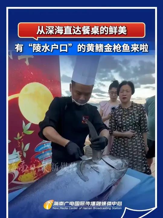 从深海直达餐桌的鲜美 有“陵水户口”的黄鳍金枪鱼来啦