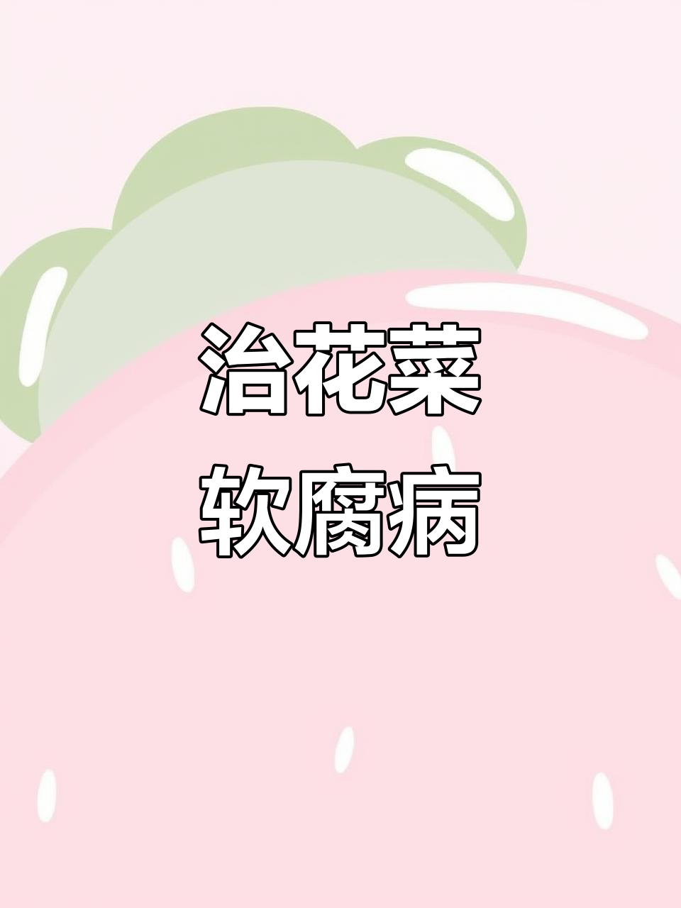 花菜软腐病治愈记：从黄烂到绿油油的转变