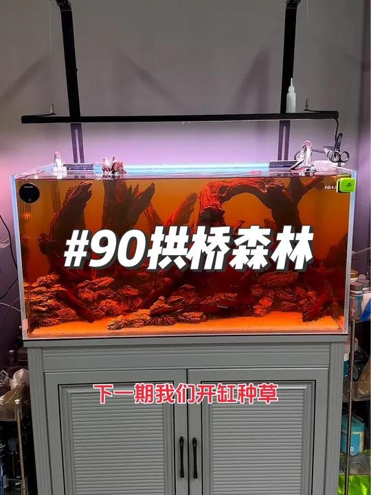 让热爱成为工作是一种什么样的体验、开不完根本开不完 水族 水族造景 鱼缸里的大自然 养鱼养