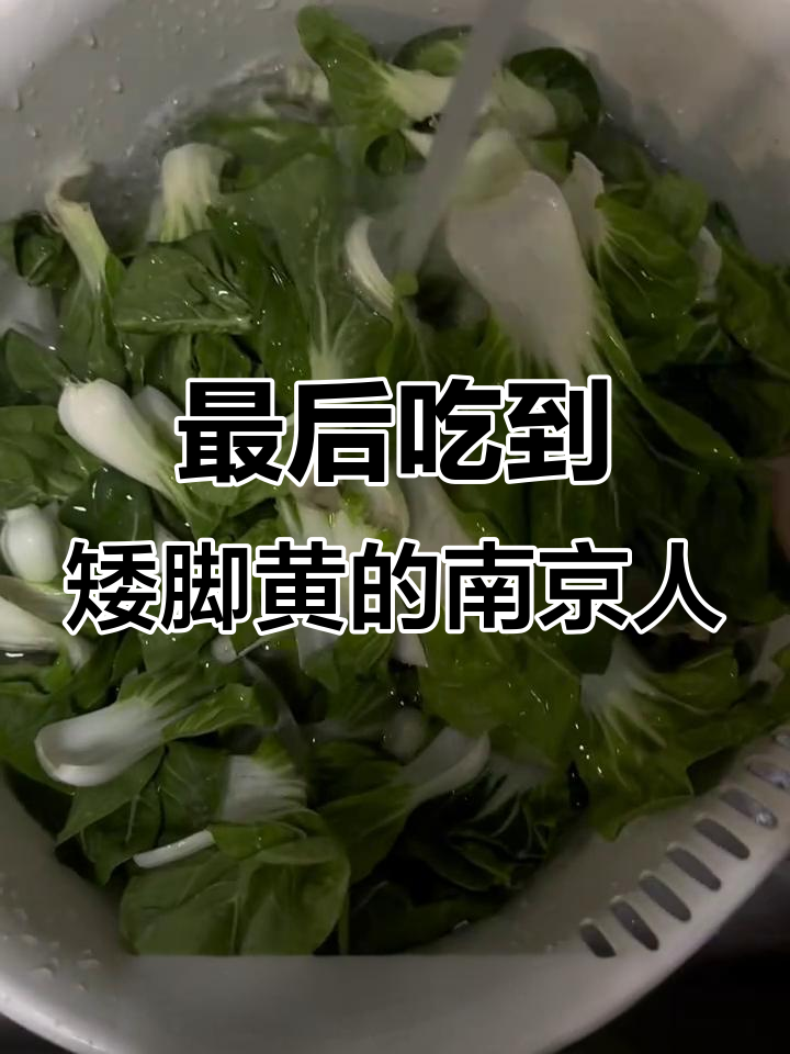 南京人最后吃到的矮脚黄,猪油炒蒜头配肉圆子炖出家乡味