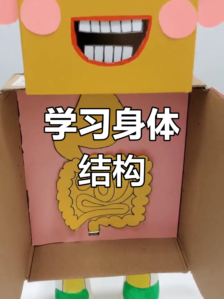 了解人体消化系统,轻松学知识